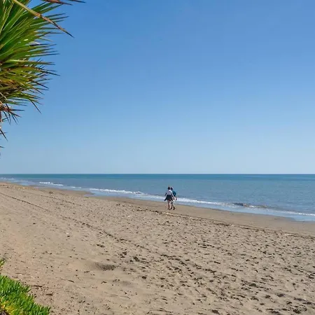 Oleholidays Napoleon 3 Junto A Alicate Playa Μαρμπέλλα